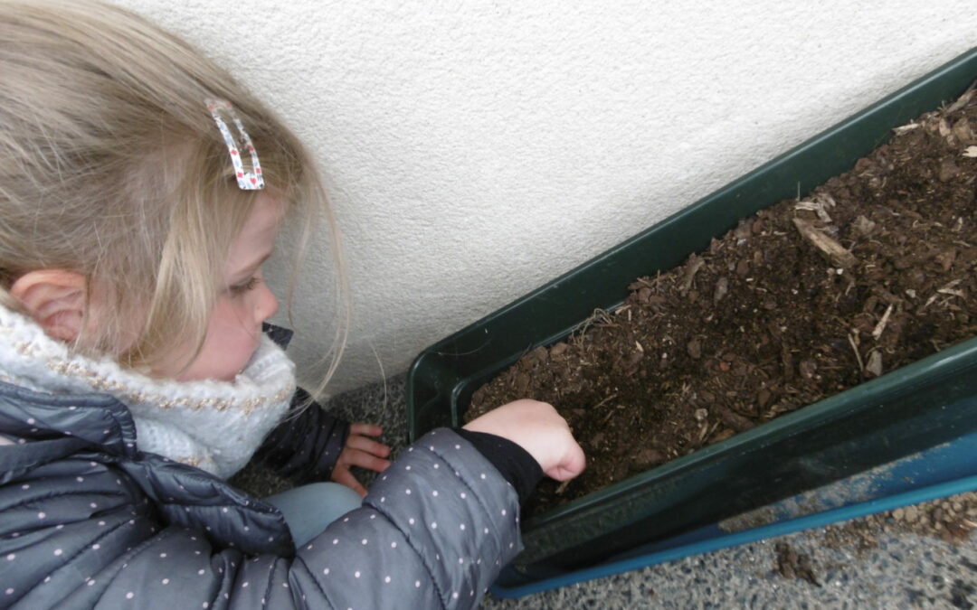 Un peu de jardinage